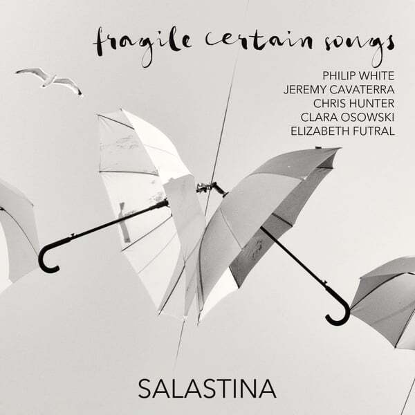 Cover art for fragile certain songs